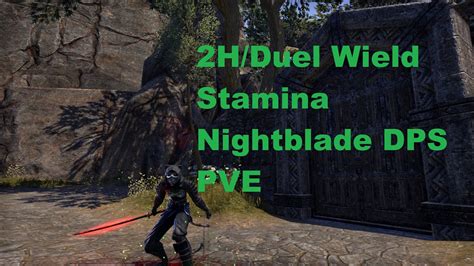 eso stam nb|2h nightblade stam build guide.